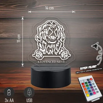 Golden retriever - 3D LED LÁMPA - Egyedi felirattal