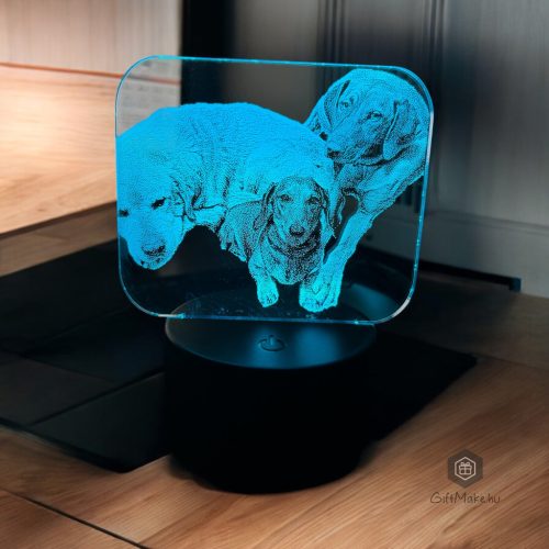 Kis kedvenc - Fénykép gravírozás | 3D LED Lámpa
