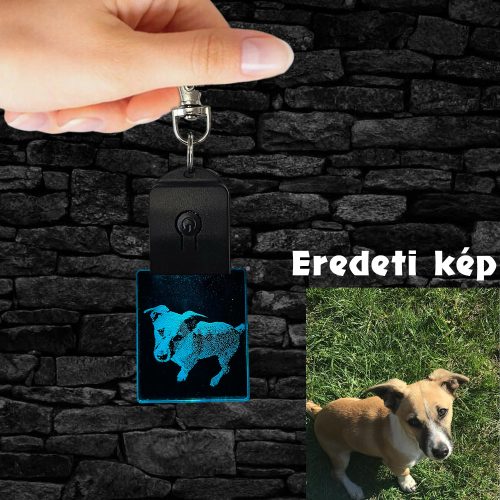 SAJÁT FÉNYKÉPES 3D LED KULCSTARTÓ